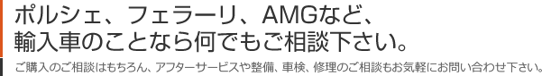 ポルシェ、フェラーリ、AMGなど、輸入車のことなら何でもご相談下さい。