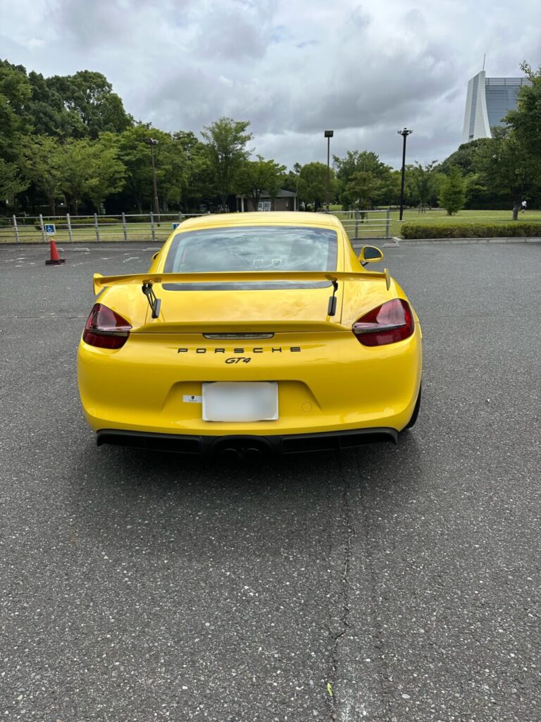 嵐を衝いて